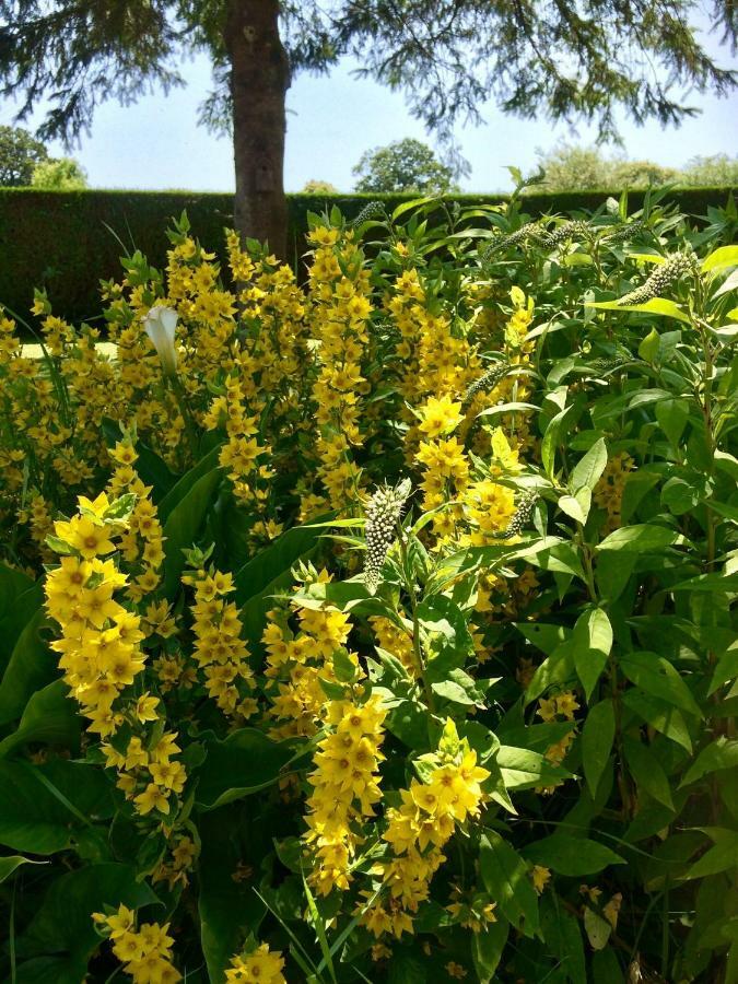 مبيت وإفطار Villedieu-les-Poëles La Crepelliere المظهر الخارجي الصورة